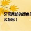 牙膏尾部的颜色代表什么意思绿色（牙膏尾部的颜色代表什么意思）