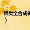 脂类全合成机油和全合成机油有啥区别（脂类）