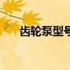 齿轮泵型号与电机配套（齿轮泵型号）