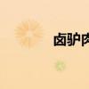 卤驴肉放什么调料（卤驴肉）