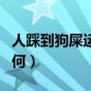 人踩到狗屎运气如何化解（人踩到狗屎运气如何）