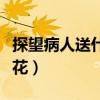 探望病人送什么花合适女性(探望病人送什么花) 探望病人送什么花合适女性(探望病人送什么花)