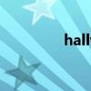 hallway翻译（hallway）