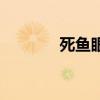 死鱼眼是什么样子的（死鱼）