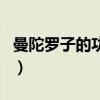 曼陀罗子的功效与作用（曼陀罗的功效与作用）