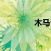 木马计的设计者是（木马）