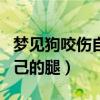 梦见狗咬伤自己的腿周公解梦(梦见狗咬伤自己的腿) 梦见狗咬伤自己的腿周公解梦(梦见狗咬伤自己的腿)