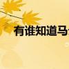 有谁知道马云微信（马云联系方式微信）