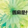 圆肩是什么样子的（圆肩是什么）