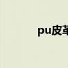 pu皮革是什么材质（pu皮革）