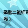 磷酸二氢钾可以灌溉吗(磷酸二氢钾可以灌根吗) 磷酸二氢钾可以灌溉吗(磷酸二氢钾可以灌根吗)