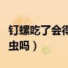 钉螺吃了会得血吸虫病吗（钉螺吃了会得血吸虫吗）