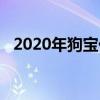 2020年狗宝价格（2018狗宝多少钱一克）