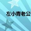 左小青老公背景(左小青老公个人资料) 左小青老公背景(左小青老公个人资料)