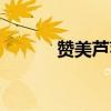 赞美芦苇的诗句（芦苇的诗句）