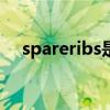 spareribs是什么意思(ibs是什么意思) spareribs是什么意思(ibs是什么意思)