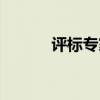 评标专家费用标准（评标专家）