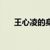 王心凌的身高是多少（王心凌的身高）