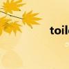 toilette法语（toilette）
