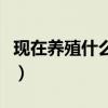 现在养殖什么最赚钱的（现在养殖什么最赚钱）
