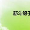筋斗鸽子值多少钱一只（筋斗鸽）