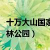 十万大山国家森林公园住宿（十万大山国家森林公园）