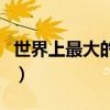 世界上最大的车子是什么车（世界上最大的车）