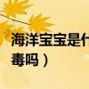 海洋宝宝是什么材料做的有毒吗（海洋宝宝有毒吗）