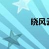 晓风云著（廖问之越v风云）