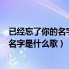 已经忘了你的名字是什么歌歌词是什么意思（已经忘了你的名字是什么歌）