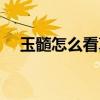 玉髓怎么看真假（玉髓吊坠一般多少钱）