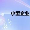 小型企业贷款条件（企业贷款条件）