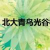 北大青鸟光谷校区官网（北大青鸟光谷校区）