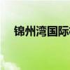 锦州湾国际机场航班（锦州湾国际机场）