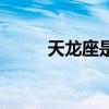 天龙座是几月几日出生（天龙座）
