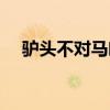 驴头不对马嘴什么意思（驴头不对马嘴）