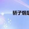 骄子烟是否杀精（娇子烟杀精吗）