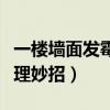 一楼墙面发霉怎么处理妙招（墙面发霉怎么处理妙招）