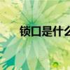 锁口是什么意思（锁喉是什么意思呢）