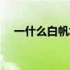 一什么白帆填量词二年级（一什么白帆）
