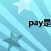 pay是什么意思（pat是什么）