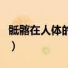 骶髂在人体的什么位置（骶髂在哪个位置图片）