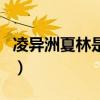 凌异洲夏林是什么电视剧（夏林是什么电视剧）