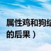属性鸡和狗结婚是不是总吵架(鸡狗属相结婚的后果) 属性鸡和狗结婚是不是总吵架(鸡狗属相结婚的后果)