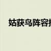 姑获鸟阵容搭配2023（姑获鸟阵容搭配）