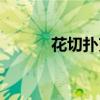 花切扑克牌尺寸（扑克牌尺寸）