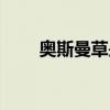 奥斯曼草是板蓝根草吗（奥斯曼草）