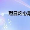 烈日灼心票房多少亿（烈日灼心票房）
