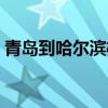 青岛到哈尔滨机票全价（青岛到哈尔滨机票）