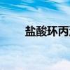 盐酸环丙沙星胶囊(环丙沙星胶囊) 盐酸环丙沙星胶囊(环丙沙星胶囊)